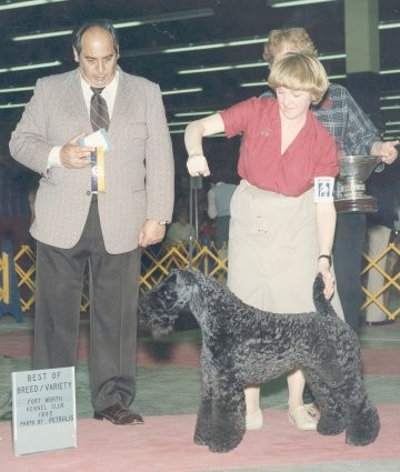 Am Ch Torum's Corky Capers - Photo Don Petrulls Photography