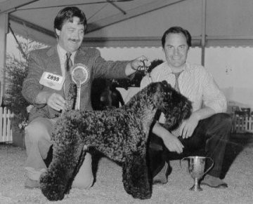 Windsor Terrier Group & BOS - Photo Alan V. Walker