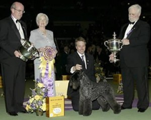 Winning BIS at Westminster 2003
