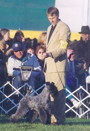 Mick in the ring with his handler Bill McFadden and Frank Sousa in the background enjoying the show - Photo Glazbrook