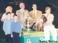 Ch Torum's Scarf Michael - Best In Show at Crufts 2000 with the Ramsay family - Carol, Chris, Alex and Ron, BIS judge Ellis Hulme and handler Michael Coad