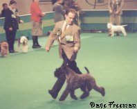 Ron handles Mick in the Group at Crufts